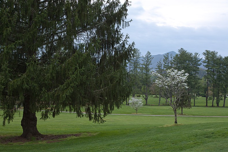 Golf Course Scene _MG_0712