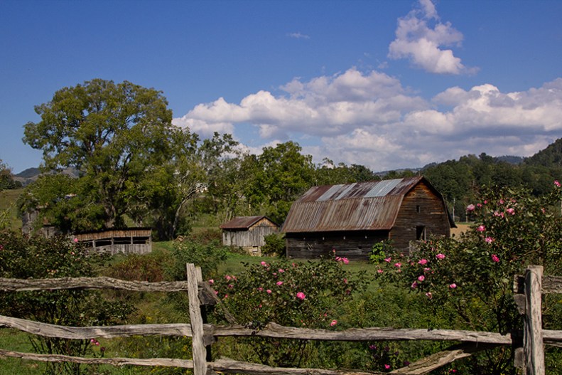 Late Summer, Western NC