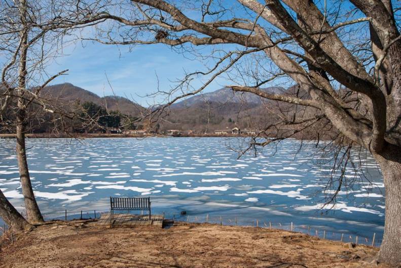 Photo by Lori Johnson