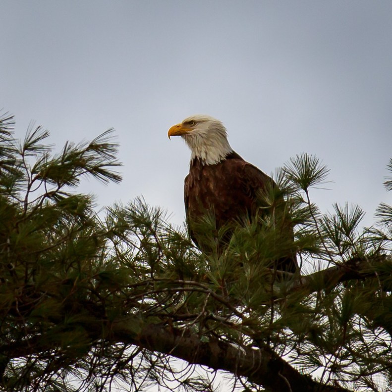 Winter, 2014, Courtesy of Bill Killillay