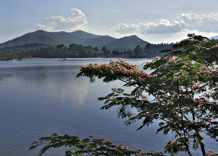 Mimosas on Asbury Trail