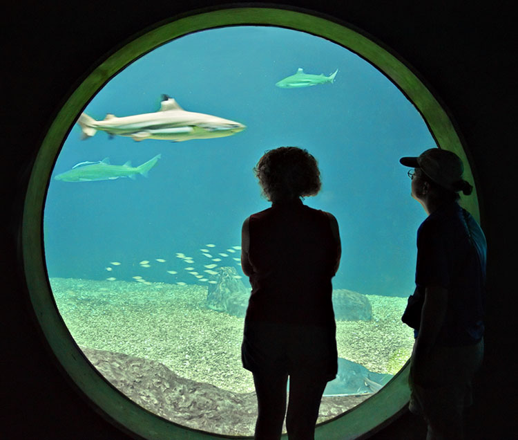 Barb and Carol at Florida Aquarium