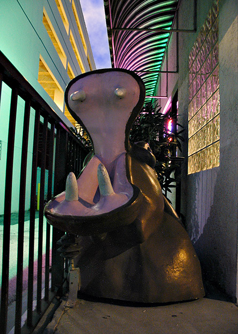 Hippo in Fluorescent Light