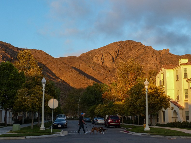 An evening walk in Ann's neighborhood