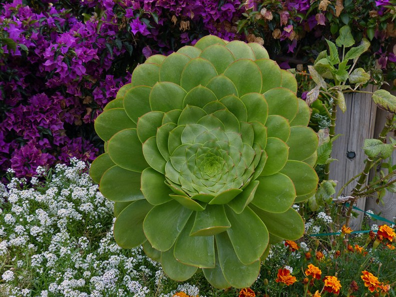 I was amazed at every turn of the head!